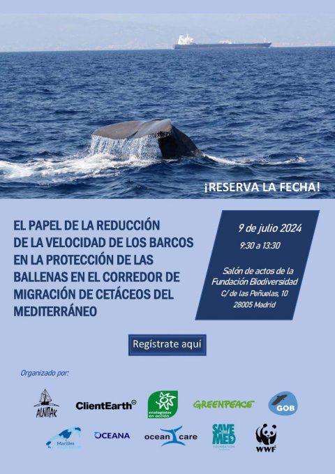 Jornada: “El papel de la reducción de la velocidad de los barcos en la protección de las grandes ballenas en el Corredor de Migración de Cetáceos del Mediterráneo”